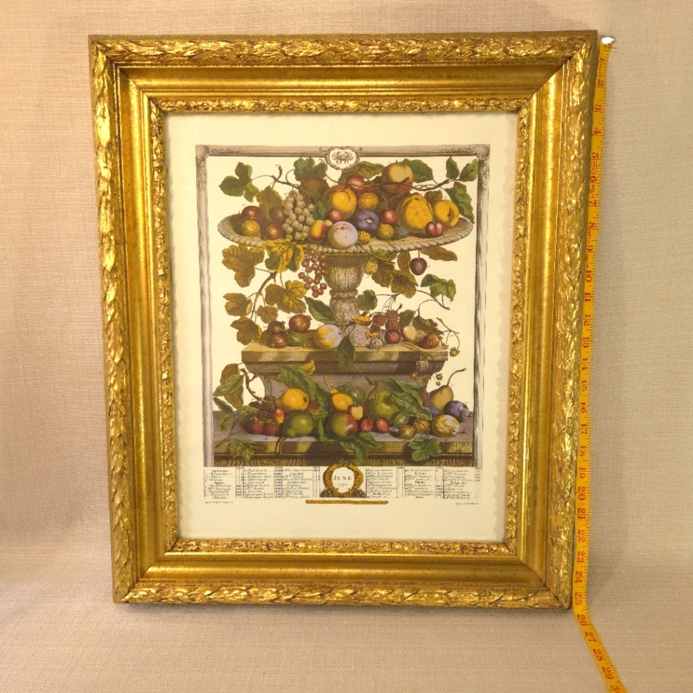 JUNE 1732 Robert Furber Twelve Months of Fruits 21 3/8" x 25 3/8" Gold Frame